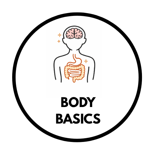 Body Basics